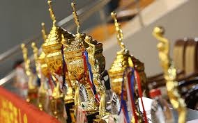 泳协公告 ｜ 关于公示2026年全国跳水赛事承办单位的通知