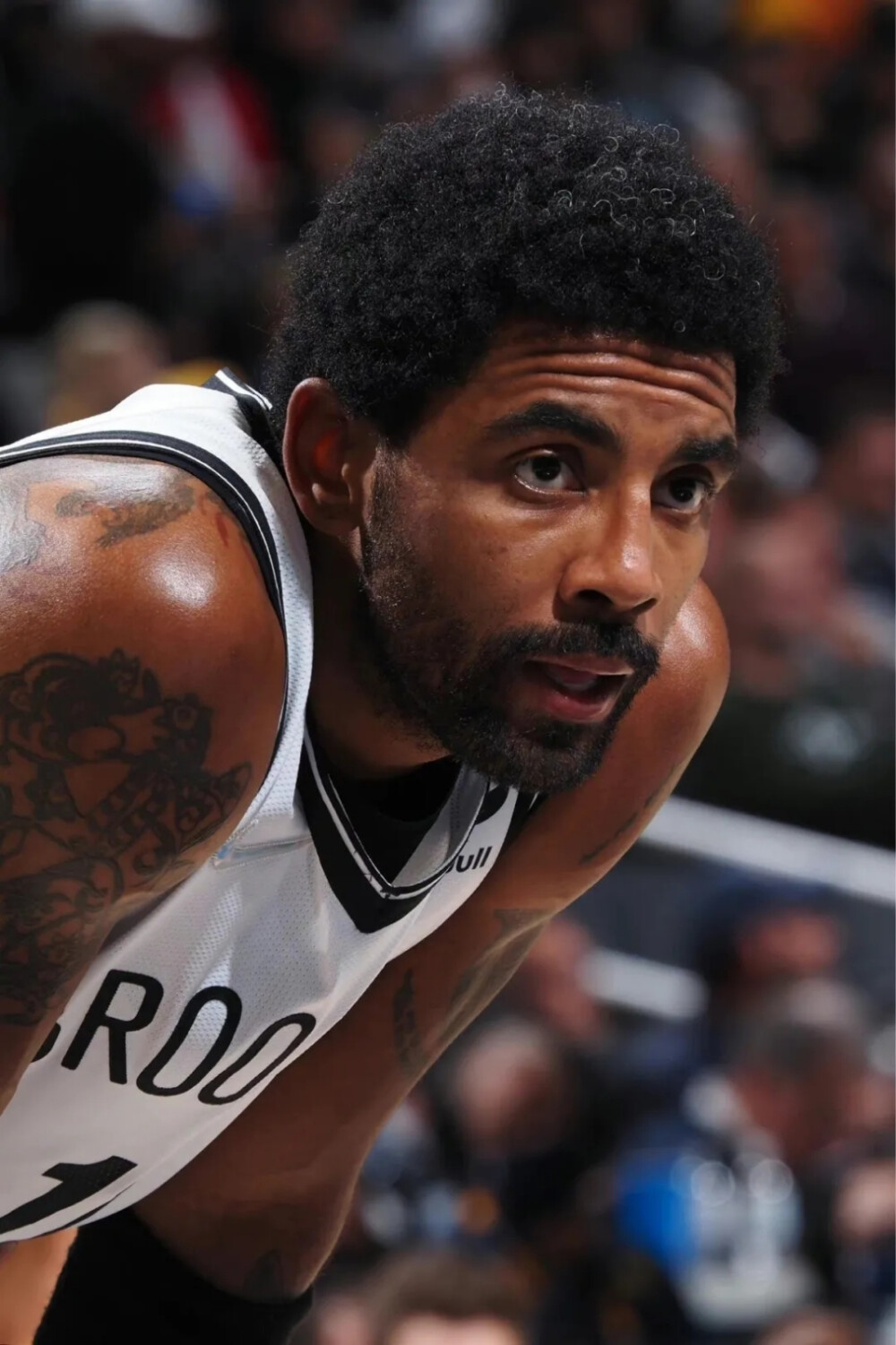 了戏剧性 了戏剧性